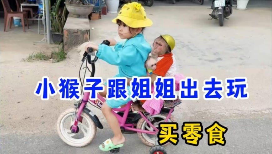 新华社发甲亢哥成都行合集,今日香港6合和彩开奖结果查询2025,重点解答解释落实_模拟版V4.86