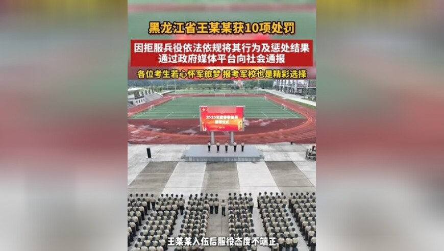 光头强变身毛绒绒,正版全年免费资料大全,国产化作答解释落实_AR版V2.3